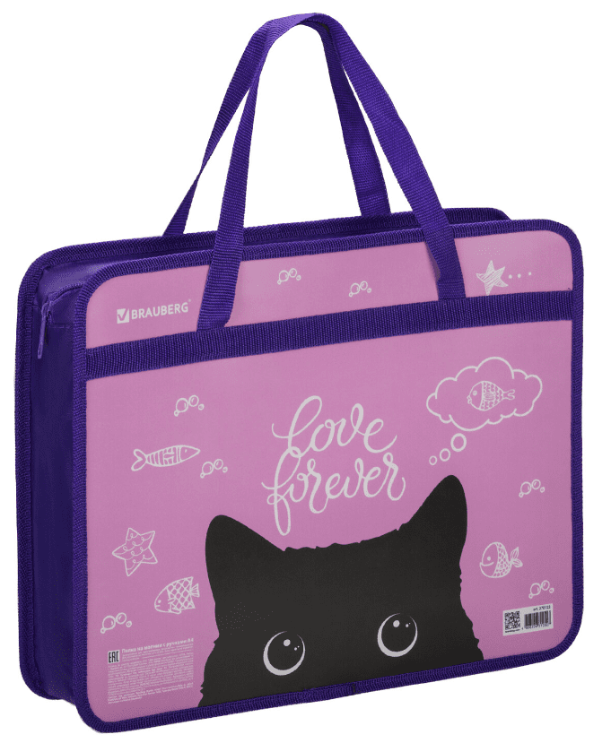 Папка на молнии с ручками BRAUBERG А4, 1 отделение, пластик, 80 мм, Black Cat, 270122