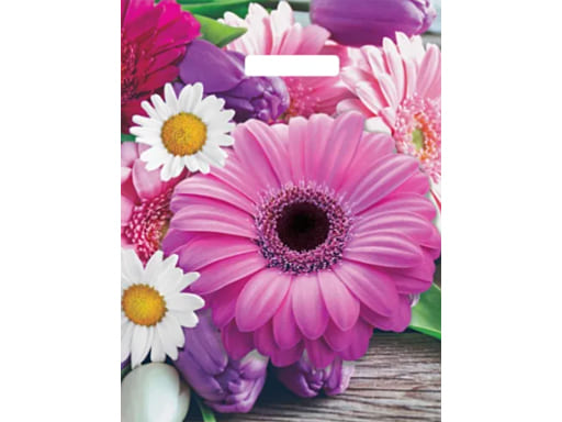 Пакет ПЭ с вырубной ручкой 31х40 (60) глянец (Ароматная палитра) Россия ВУР58085