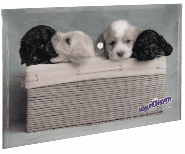 Папка-конверт с кнопкой ЮНЛАНДИЯ "Щенки", А4, 160 мкм, до 100 листов, цветная печать, 228050