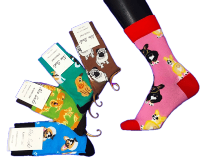 Носки женские Nice Socks (AMIGOBS)  арт. 2208