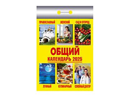 (И) Календарь отрывной "Общий" 2025 Ш 7АСС