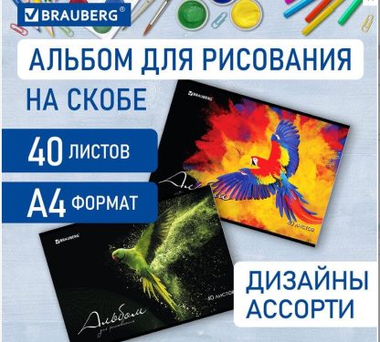 Альбом д/рис. А4 40л., скоба, обложка картон, BRAUBERG, 205х290мм, Полёт (2 вида), 106707