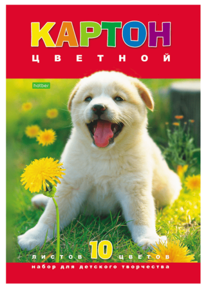 Картон цветной А4 МЕЛОВАННЫЙ, 10л. 10цв., в папке, HATBER ECO, 195х290мм, Белый щенок, 043288