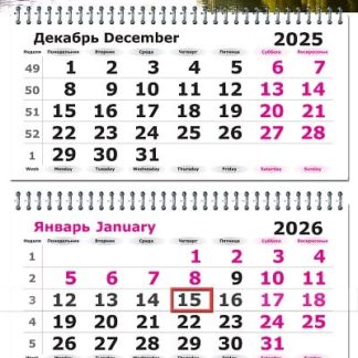 Календарь квартальный 3-х блочный 2026 Пейзаж. Отражение 305*675 3120-25 × 1