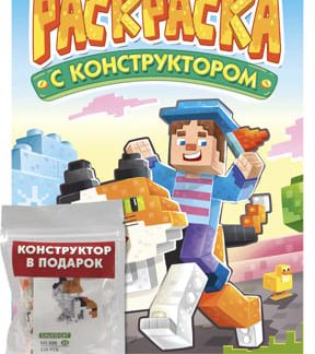 РАСКРАСКА С КОНСТРУКТОРОМ. КОТ