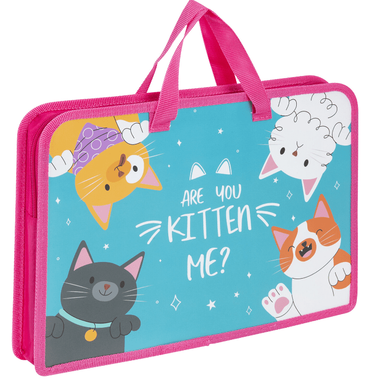 Папка на молнии с ручками ЮНЛАНДИЯ А4, 1 отделение, пластик, ширина 45 мм, Cat gang, 272148