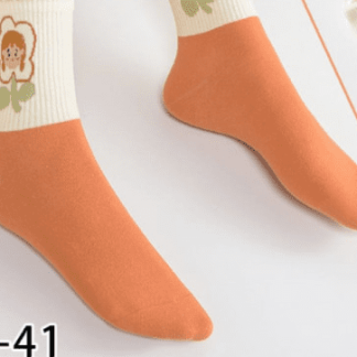 Носки женские DMDBS BK-078-3