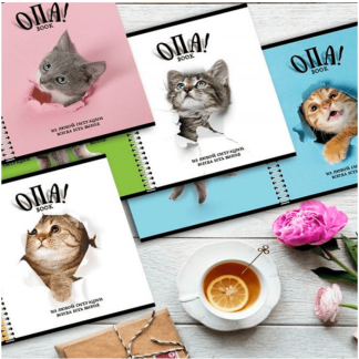 Тетрадь 96л клетка дв спир ПЗБМ Опа! с 2-мя облож клетка+лин выб лак твин-лак 028558 4 вида