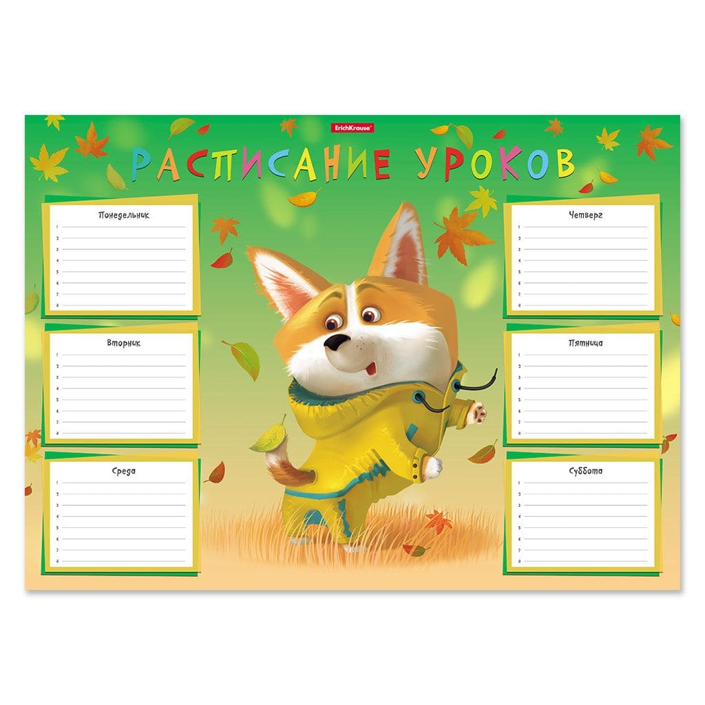 Расписание уроков А3 001030100-53169 ErichKrause® Корги