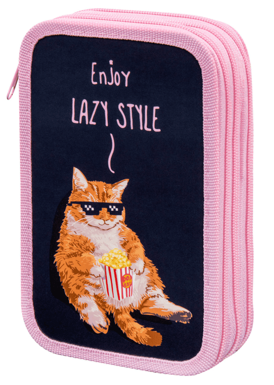 Пенал ПИФАГОР, 3 отделения, ламинированный картон, 19х11 см, Lazy cat, 272252