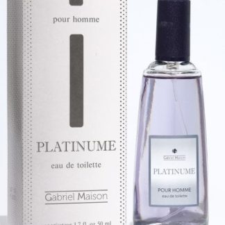 Туалетная вода мужская GABRIEL MAISON "Platinume", 50 мл 9369910