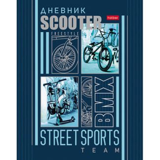 Дневник для 1-11кл. 40л А5ф тв.переплет Металлик, выборочный лак-Sport Team-
