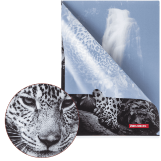 Папка-уголок BRAUBERG LEOPARD, А4, 150 мкм, цветная печать, 228040