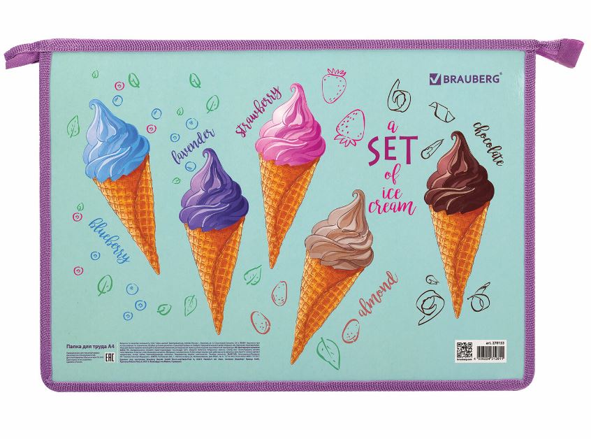 Папка для труда BRAUBERG А4, 2 отделения, молния сверху, органайзер, Ice cream, 270153