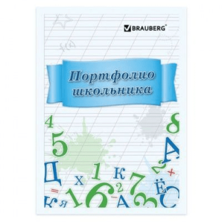 Листы-вкладыши для портфолио ШКОЛЬНИКА, 14 разделов, 16 листов, УЧИСЬ НА 5, BRAUBERG, 127547