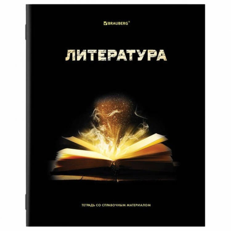 Тетрадь предметная Литература SHADE 48л, глянцевый лак, линия, подсказ, BRAUBERG, 404269