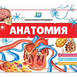 3D Энциклопедия. Анатомия: книжка-панорамка. от2607,2023