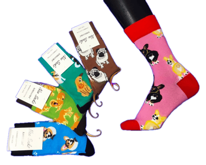 Носки женские Nice Socks (AMIGOBS) арт. 2208