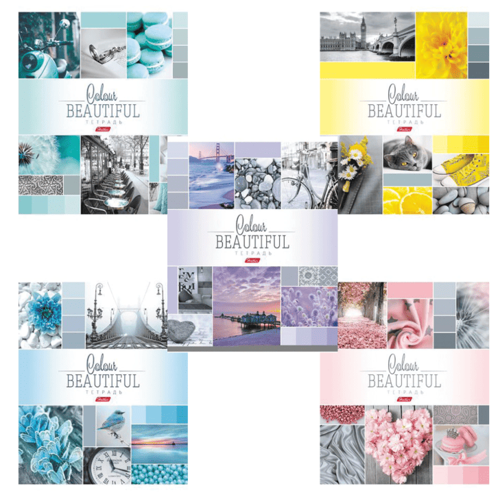 Тетрадь А5, 96 л., HATBER, скоба, клетка, обложка картон, "BEAUTIFUL COLOURE" (микс), 046858, 96Т5В1